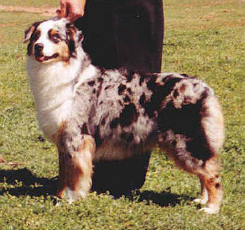Addie