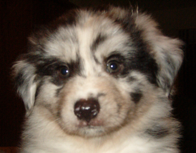 RJ