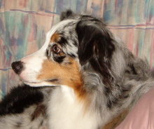 Lucy